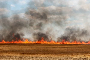 Vatrogasci pronašli telo muškarca dok su gasili požar na njivi