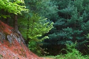 Klimatske promene u Srbiji najštetnije po zdravlje ljudi i poljoprivredu
