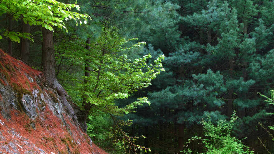 Klimatske promene u Srbiji najštetnije po zdravlje ljudi i poljoprivredu