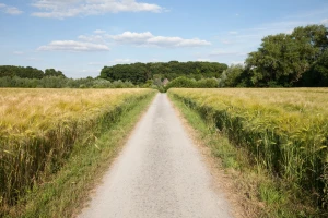 Evropska komisija predstavila inicijativu Ruralni pakt - šta ona donosi?