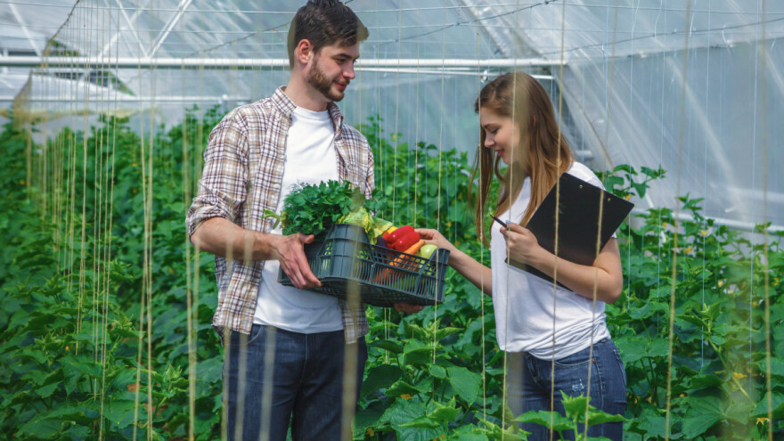 Milion maraka za samozapošljavanje u poljoprivredi