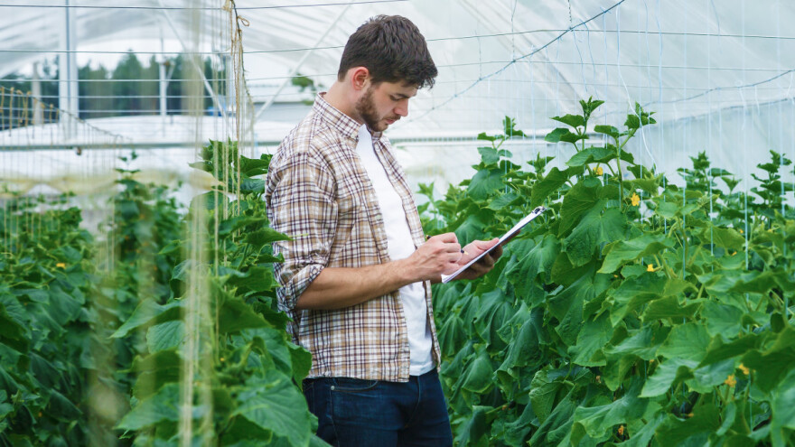 Neki mladi poljoprivrednici još nisu dobili subvencije, neki već potrošili novac