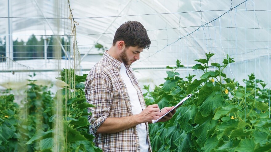 Fitosanitarni inspektori će uz pomoć aplikacije pratiti pojavu štetnih organizama