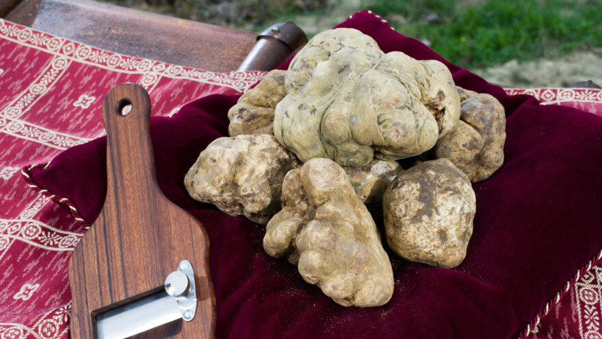 Prodat beli tartuf težak 900 grama za 100.000 evra