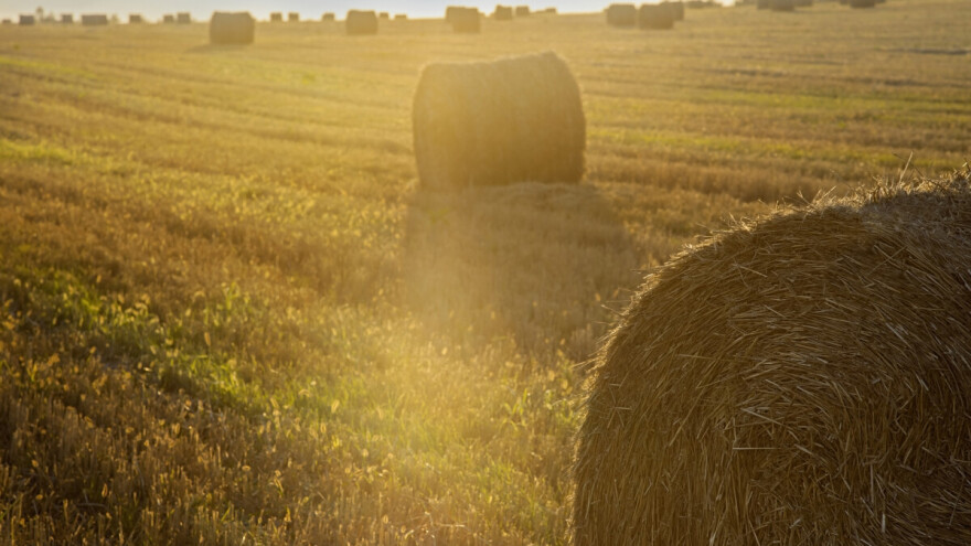 Čeka nas još jedan toplinski val