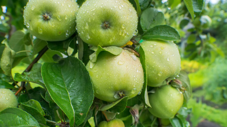 Stižu nam pad temperature i padavine: Do kada će trajati pogoršanje vremena?