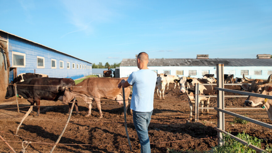 Otpornost na antimikrobna sredstva u lečenju životinja su pretnja javnom zdravlju