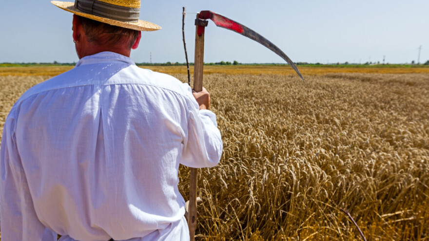 Tradicijski običaji i ove godine na 12. Žetvenim svečanostima u Trnovcu