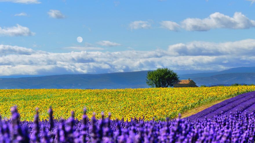 Lunarni kalendar: Bez Sunca nema života, ali Mesec diktira setvu i žetvu