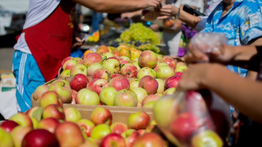 Zakon o kontrolama u oblasti hrane - sledeće godine