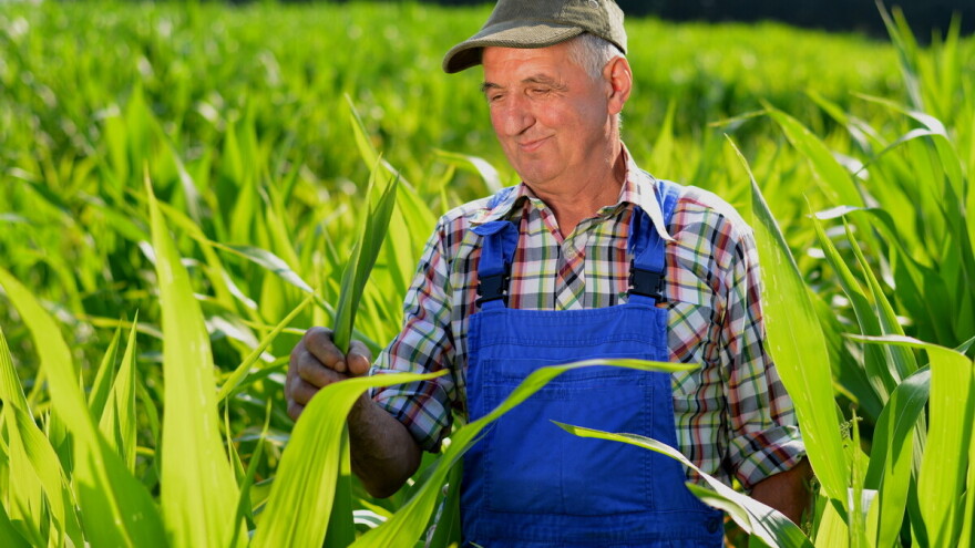 Savjetovanje s javnošću za Nacrt prijedloga Zakona o biljnom zdravstvu