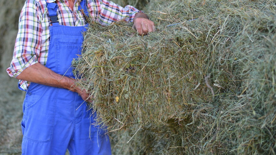 Kako na velikoj bali sena zaraditi više od 17.000 evra?