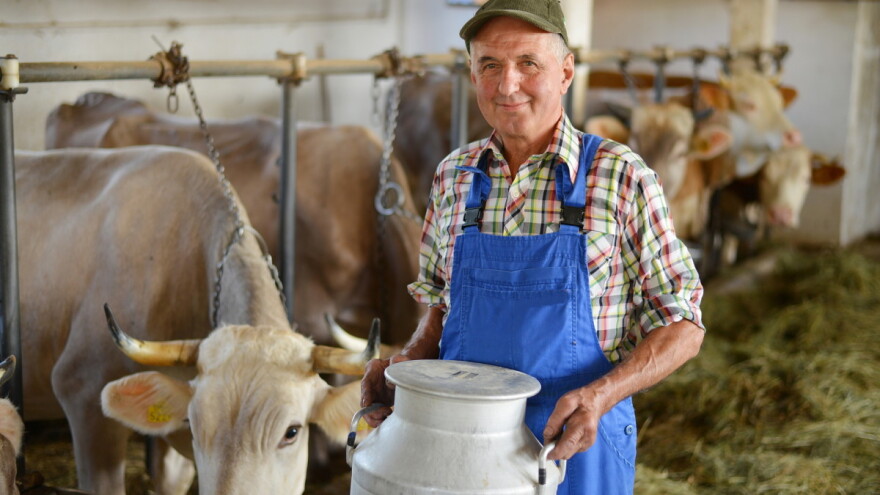 Poskupljenja se odrazila na proizvodnju - manje mlijeka na Sokocu