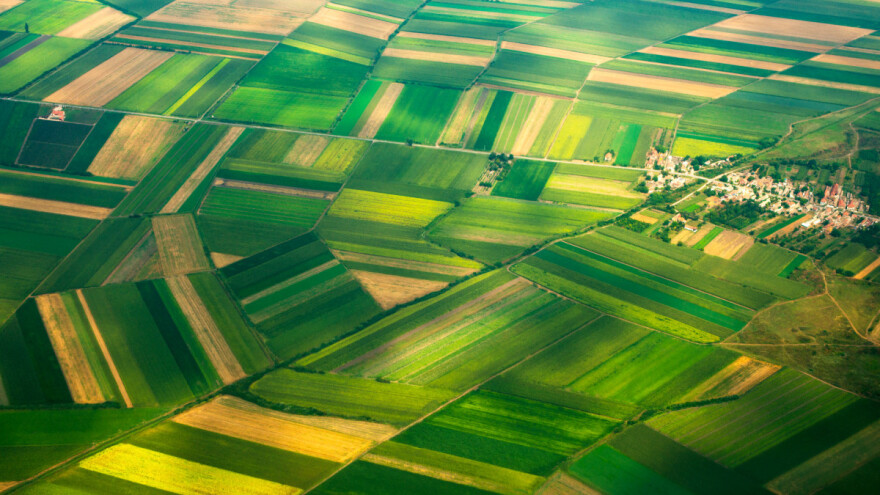 Zemljišta alarmatnom brzinom gube fosfor - kako ga sačuvati?