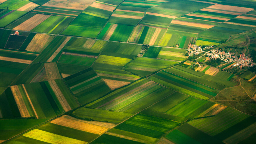 Još uvek najskuplja zemlja u Južnoj Bačkoj - 11.700 za hektar