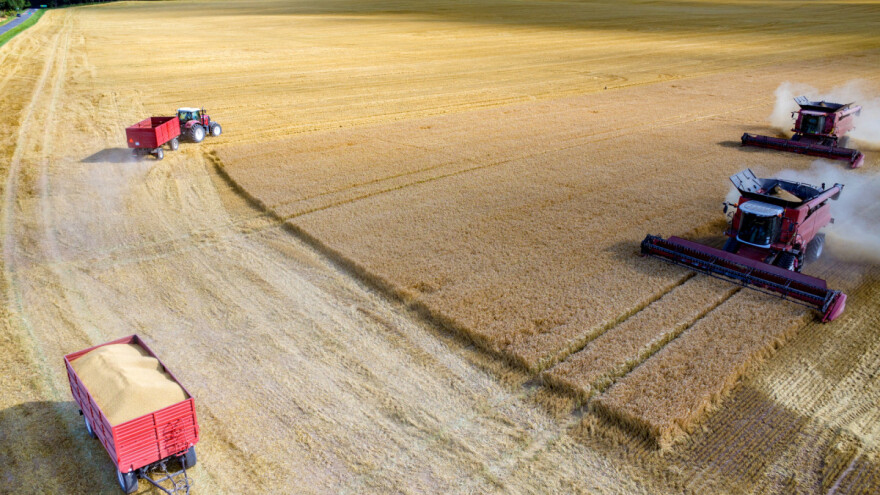 Ruske kampanje o prehrambenoj krizi su dezinformacije? Šta planira EU?