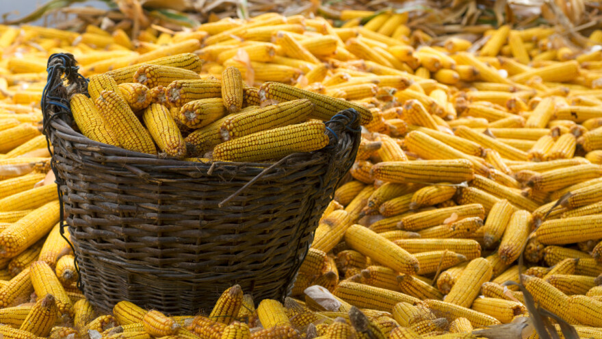 Krunjač kukuruza djevojčici prignječio ruku - spašavali ju vatrogasci