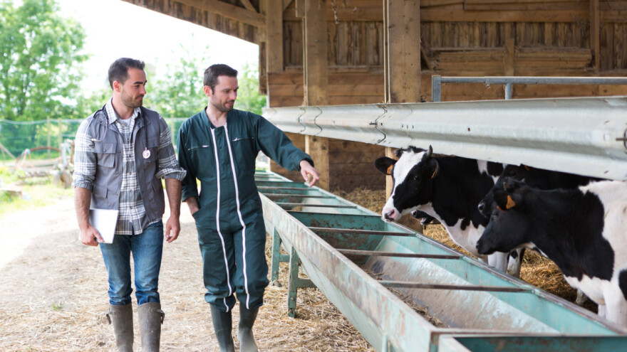 Donesen plan službenih kontrola farmi goveda, ovaca, koza i drugog u FBiH