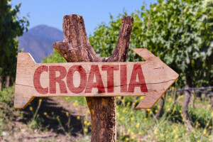 Hrvatska poljoprivreda nakon 2020. - konferencija Ministarstva poljoprivrede