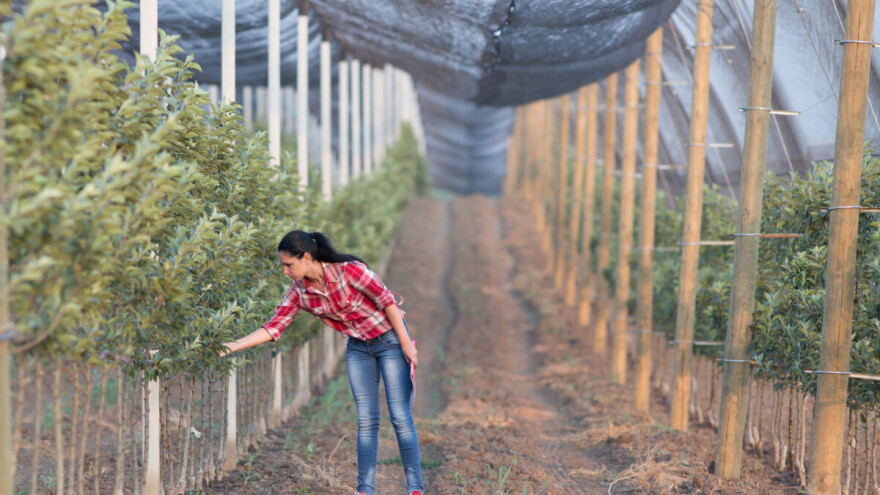 Za projekt ženskog preduzetništva 850.000 eura