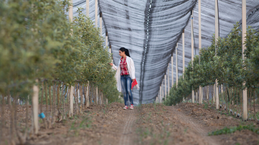Objavljene treće izmjene natječaja za tipove operacija 6.3.1 i 6.1.1