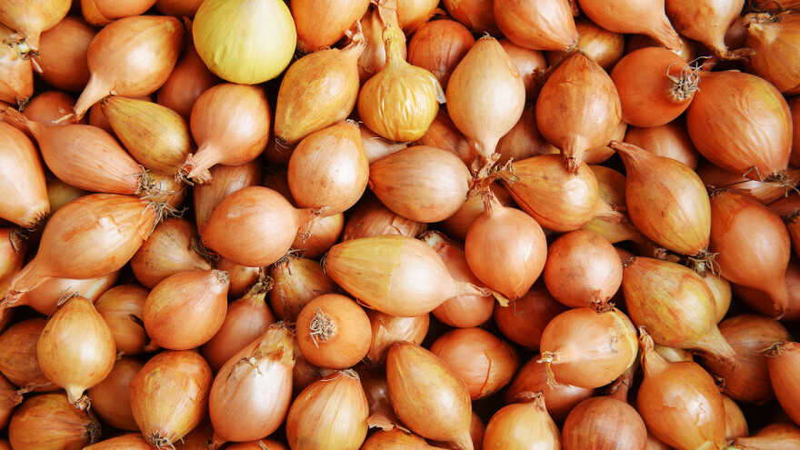 Zabranjen uvoz sjemena luka