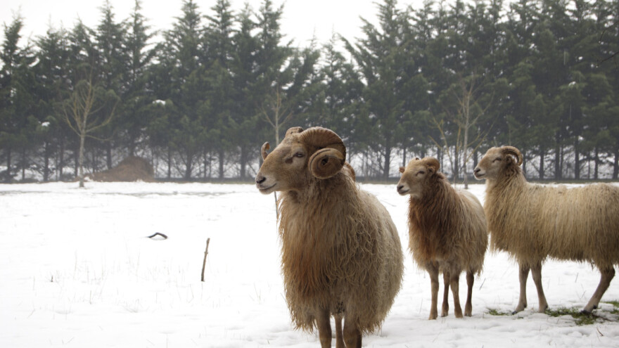 Minusi do decembra, bit će i mraza, a onda rast temperature