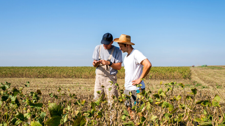 EP ne želi glifosat: Copa-Cogeca ih prozvala da nemaju veze sa stvarnošću na terenu