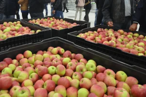 Alternativna tržišta za naše voćare Afrika, Bliski i Daleki istok