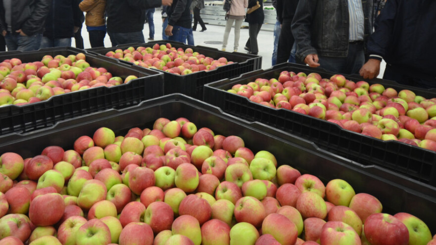 Alternativna tržišta za naše voćare Afrika, Bliski i Daleki istok
