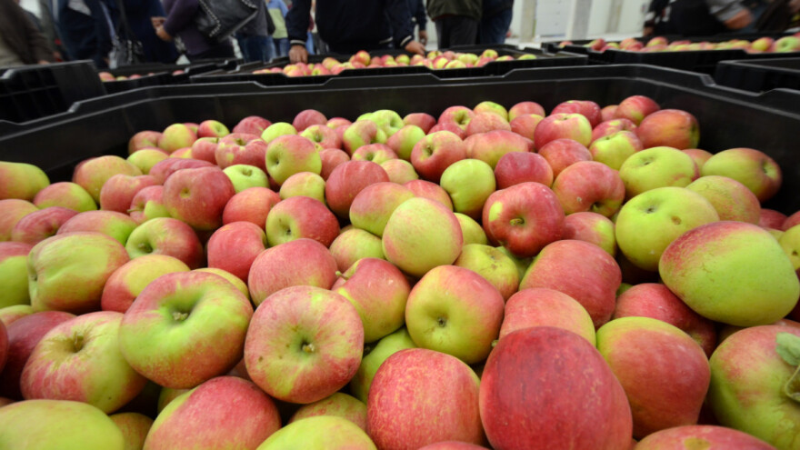Domaća jabuka nije uvek bolja za klimu od one sa Novog Zelanda?