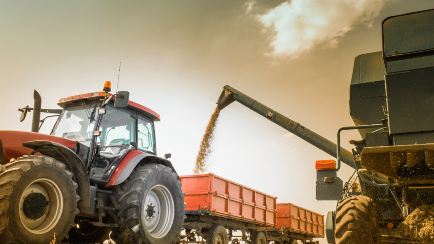 Evropski prinos žitarica ispod prosjeka, šta je s uljaricama?