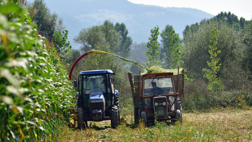 U toku obrada i isplata zahtjeva za proizvodnju silažnog kukuruza