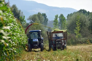 Proizvodnja silažnog kukuruza lani pala za 30 posto, što je s ostalim usjevima u Hrvatskoj?