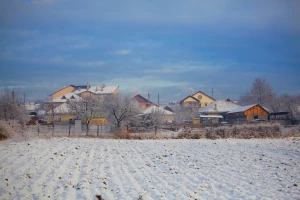 Niska temperatura nije izazvala štetu na ozimim usjevima, zečevi uništavaju voće