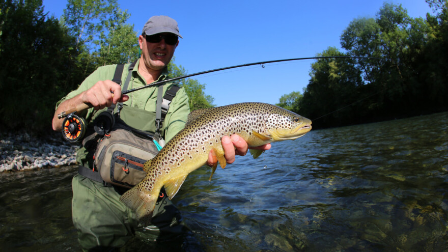 Zagrijavanje voda prijeti opstanku brojnih ribljih vrsta o kojima čovjek ovisi