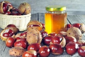 Zašto pored livadskog i bagremovog meda, ipak izabrati kestenov?