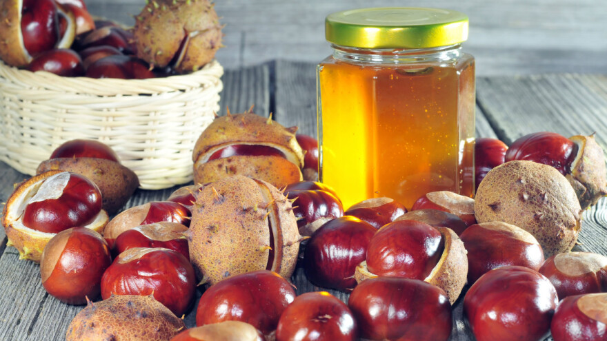 Zašto pored livadskog i bagremovog meda, ipak izabrati kestenov?