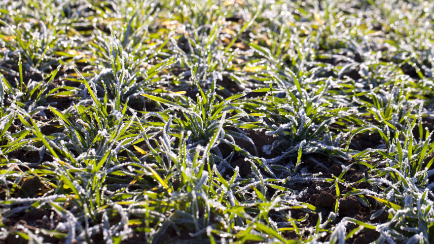 Mraz i hladno do sledećeg vikenda