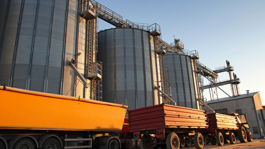 Cijene ruske pšenice rastu, Argentina postaje konkurentan izvoznik suncokretovog ulja