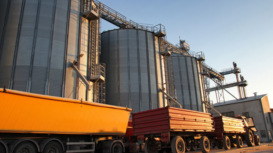 Cene ruske pšenice rastu, Argentina postaje konkurentan izvoznik suncokretovog ulja