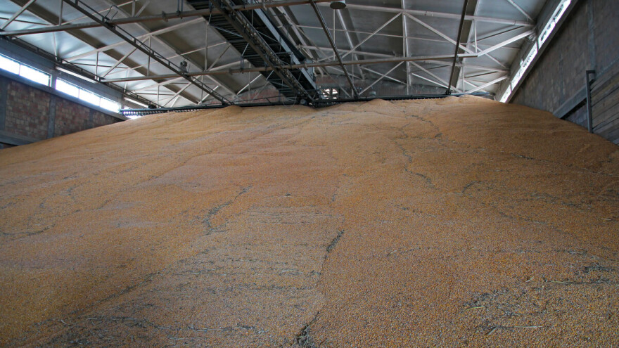 Produktna berza: Najviše se trgovalo kukuruzom, a kvalitetnu pšenicu sve teže naći