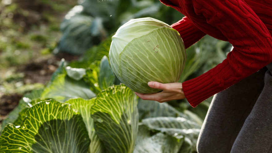 Nagrada za inovaciju žena u poljoprivredi za podsticanje razvoja novih poslovnih modela