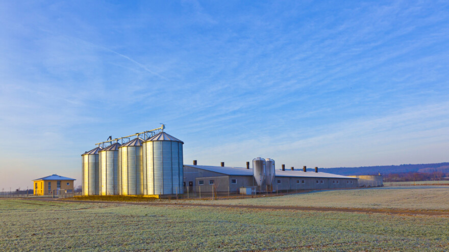 Cene svih primarnih poljoprivrednih proizvoda beleže rast