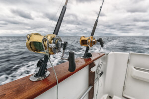 Prijedlog Pravilnika o raspodjeli državne kvote za ribolov plavoperajne tune