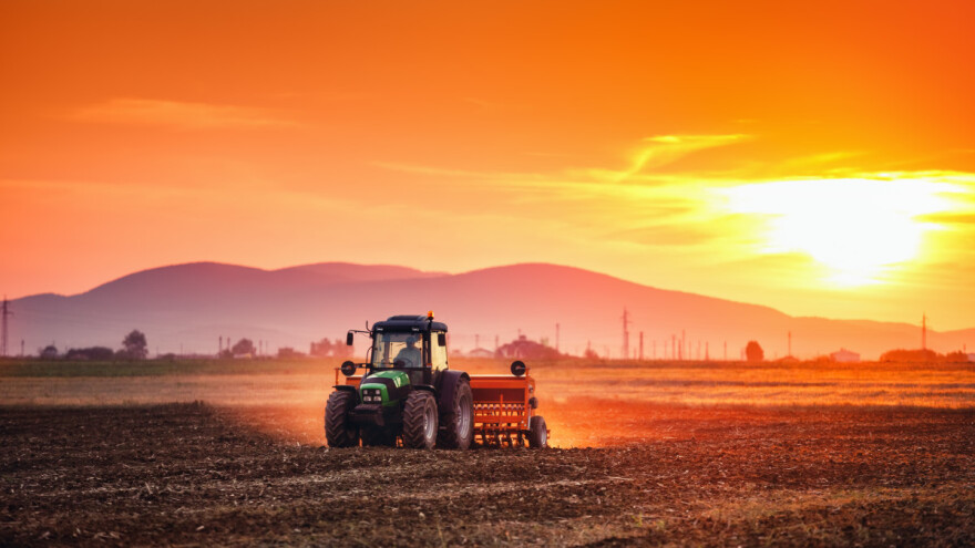 Još nije kasno da se posije zob - na šta obratiti pažnju?