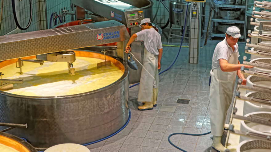 Udvostručuju izvoz mliječnih proizvoda - Bjelorusija jača izvoz u Aziju i Afriku