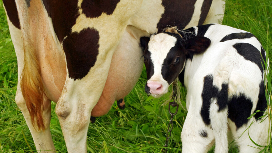 Poslije federalnog Programa operativan i Program poljoprivrednih poticaja ZDK