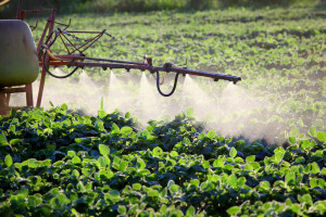 Skoro 190.000 potpisa protiv partnerstva s industrijom pesticida