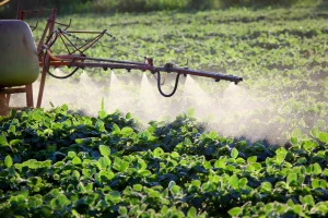 Više od četvrtine pesticida koji se koriste u SAD-u, u Evropskoj su uniji zabranjeni